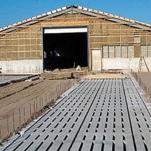 Dairy Slats